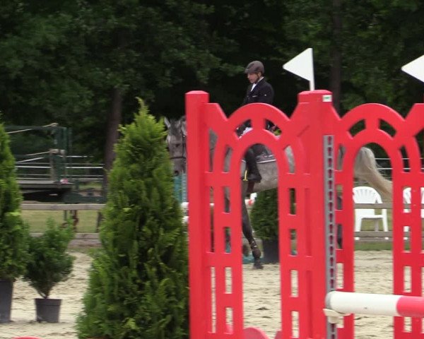 Reitturnier Münster-Handorf 2020