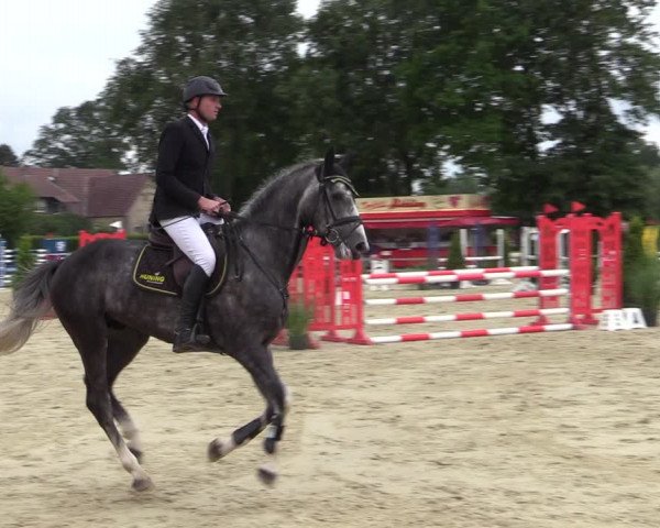 Reitturnier Münster-Handorf 2020