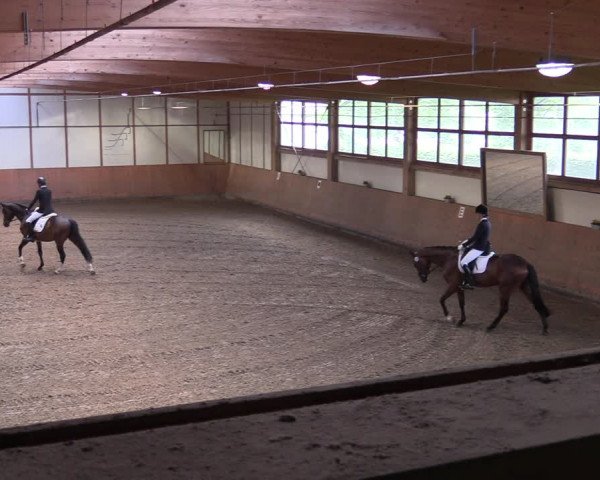 Reitturnier Halver 2020