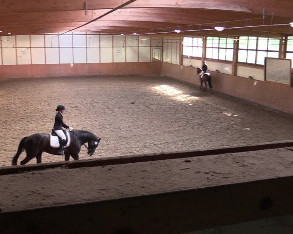 Reitturnier Halver 2020