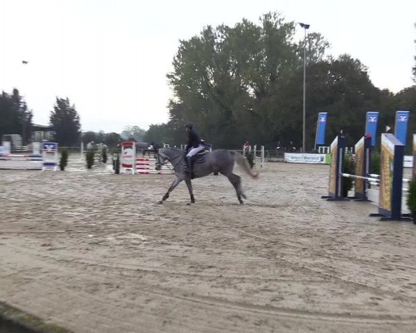 Reitturnier Everswinkel 2021