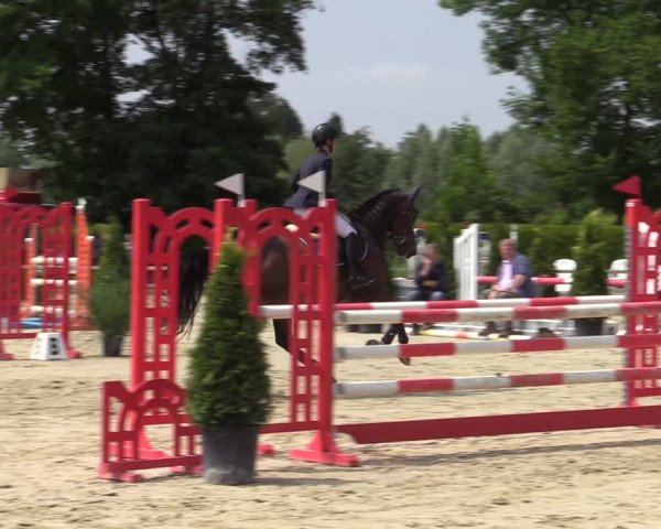 Reitturnier Münster-Handorf 2020