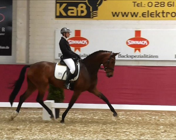 dressage horse Enna Di Pergusa (Westphalian, 2010, from Ehrenstolz)