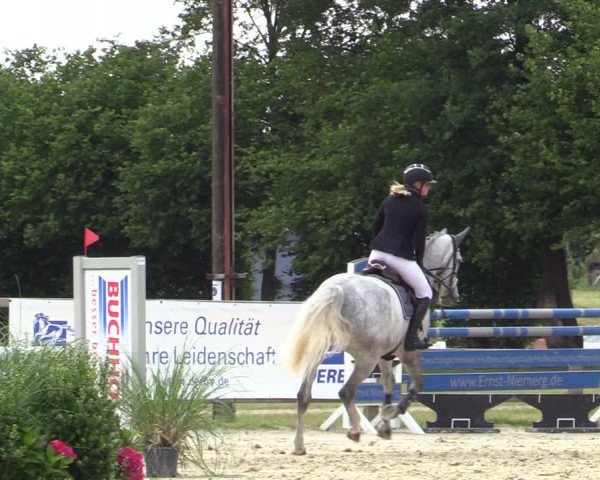 Reitturnier Münster-Handorf 2020