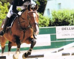 Cavallo da salto Lemon Tree (Oldenburger, 1994, di Landfrieden)