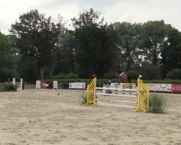 Reitturnier Münster-Handorf 2020