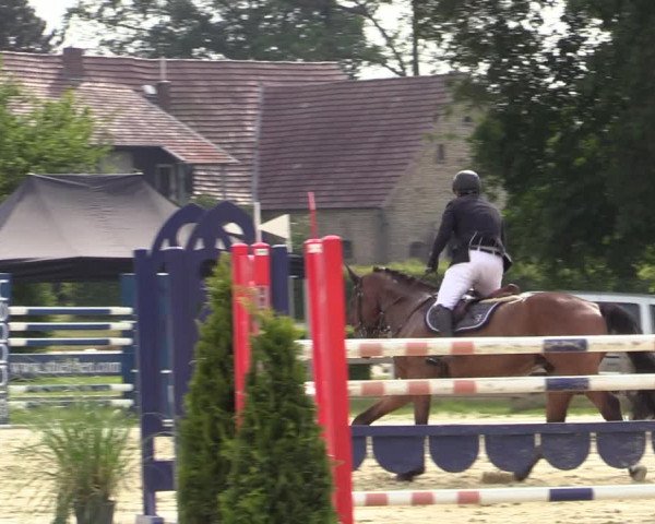 Reitturnier Münster-Handorf 2020