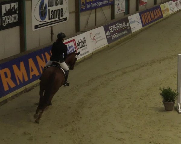 Steinhagen Classics 2021