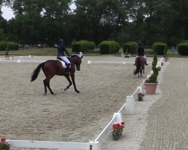 Reitturnier Münster-Handorf 2020