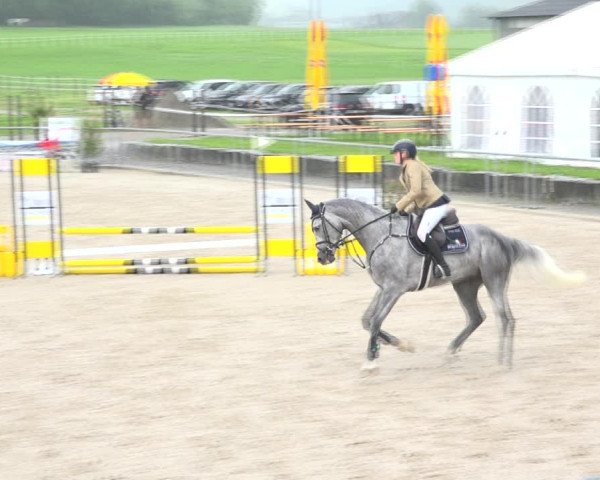 Reitturnier Galgenen 2020