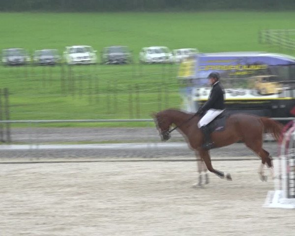 Reitturnier Galgenen 2020