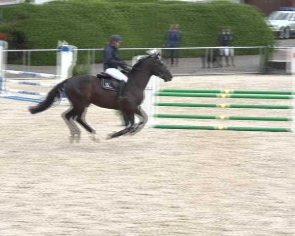 Reitturnier Galgenen 2020