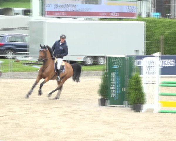 Reitturnier Galgenen 2020
