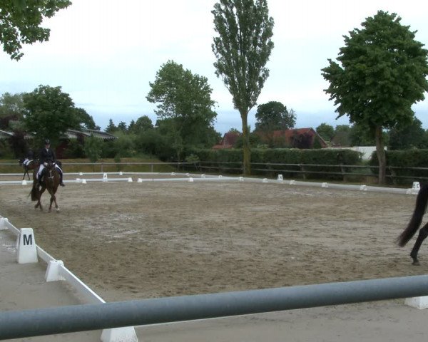 Reitturnier Niedernstöcken 2020