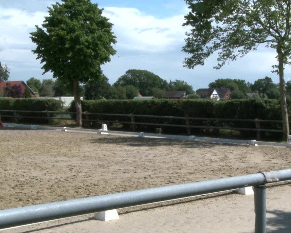 Reitturnier Niedernstöcken 2020