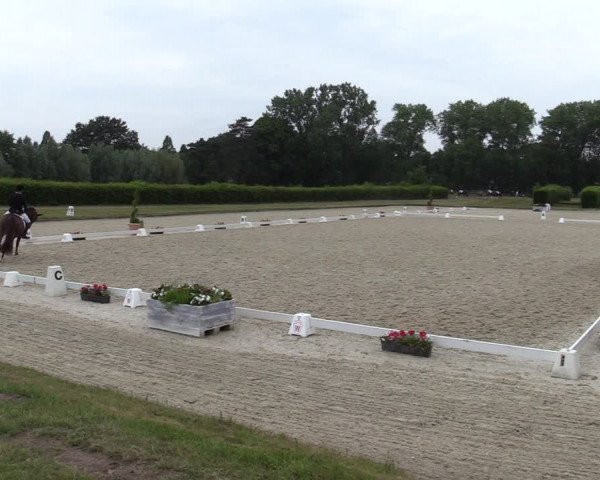 Reitturnier Münster-Handorf 2020