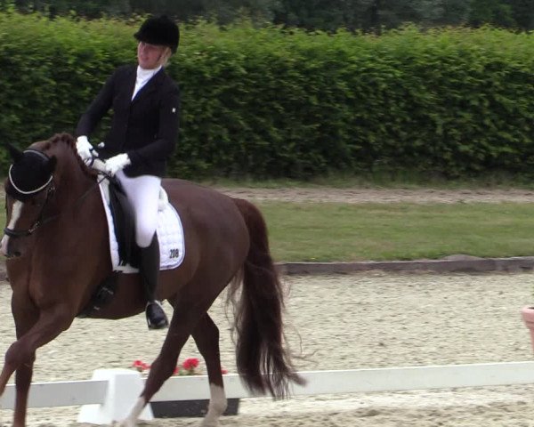 Reitturnier Münster-Handorf 2020