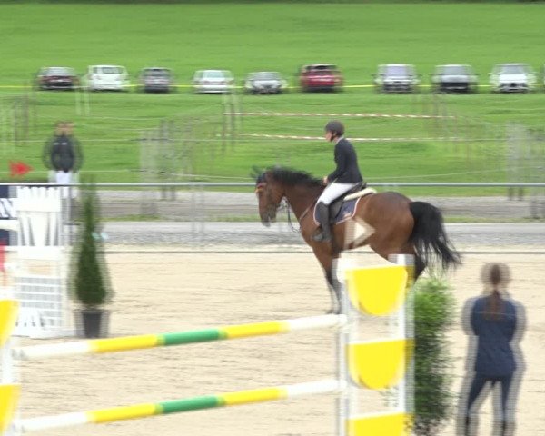 Reitturnier Galgenen 2020