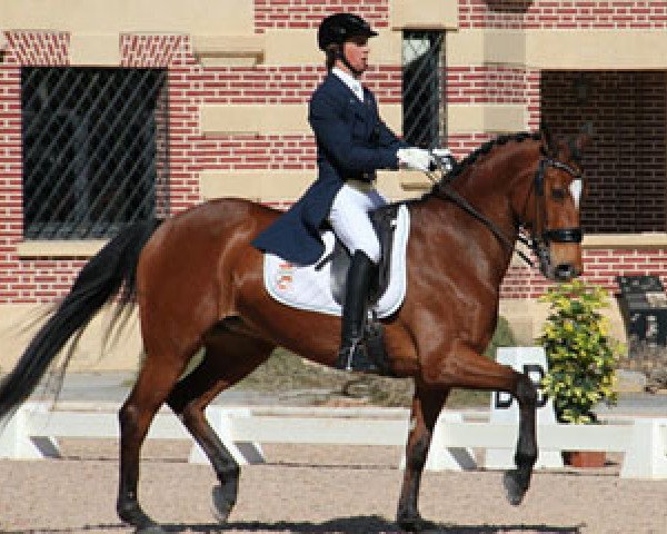 Dressurpferd Delhi (Spanisches Sportpferd, 2003, von Tenor de la Cour) Dressurpferd Delhi (Spanisches Sportpferd, 2003, von Tenor de la Cour)