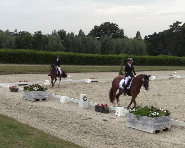 Reitturnier Münster-Handorf 2020
