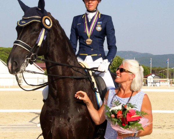 dressage horse Sir Willy (Württemberger, 2002, from Sir Oldenburg)