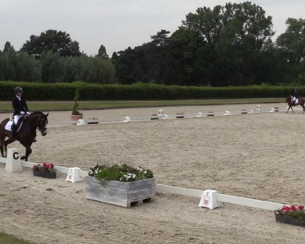 Reitturnier Münster-Handorf 2020