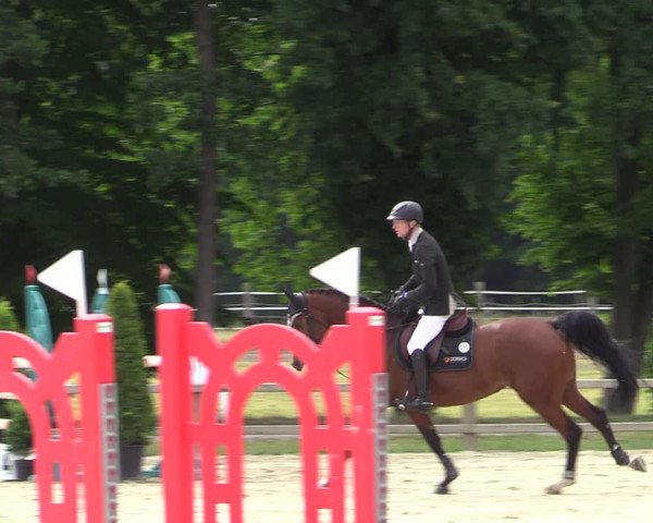 Reitturnier Münster-Handorf 2020