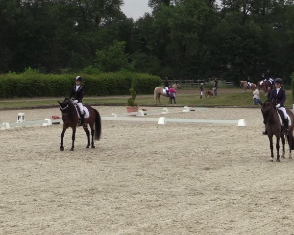 Reitturnier Münster-Handorf 2020