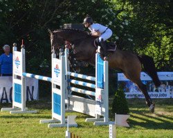 broodmare Cia M (KWPN (Royal Dutch Sporthorse), 2007, from Chin Chin)