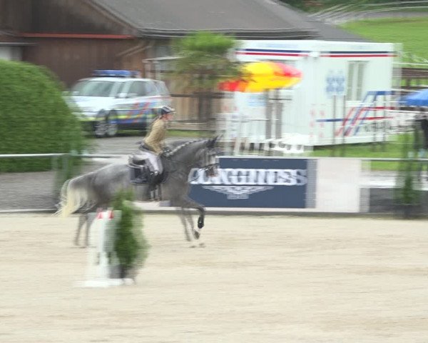 Reitturnier Galgenen 2020