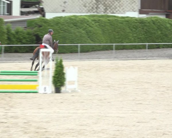 Reitturnier Galgenen 2020