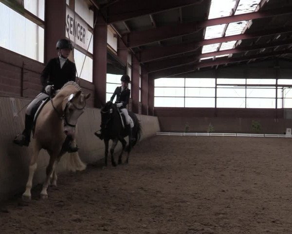 Reitturnier Ostenfelde-Vornholz 2020