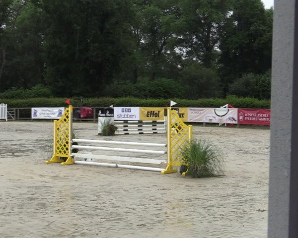Reitturnier Münster-Handorf 2020