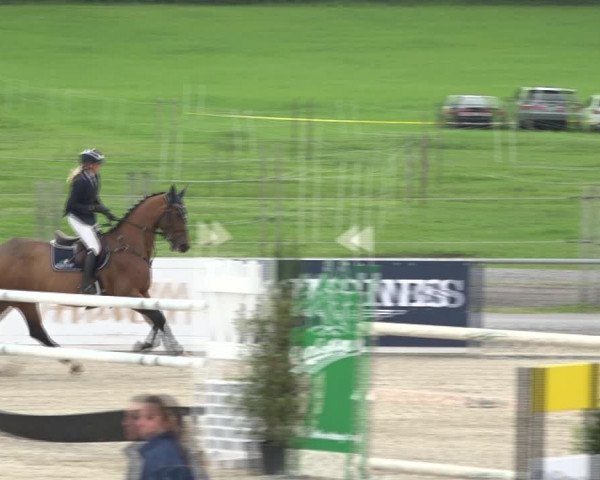 Reitturnier Galgenen 2020