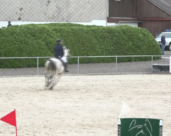 Reitturnier Galgenen 2020