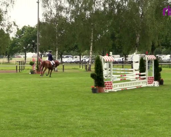 Reitturnier Hille 2020