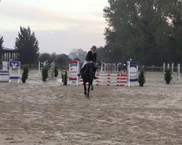 Reitturnier Everswinkel 2021