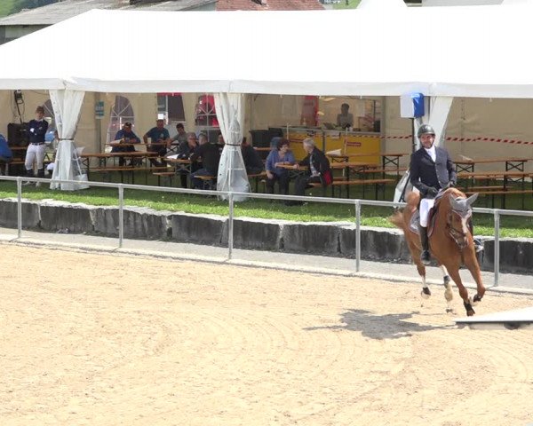 Reitturnier Galgenen 2020