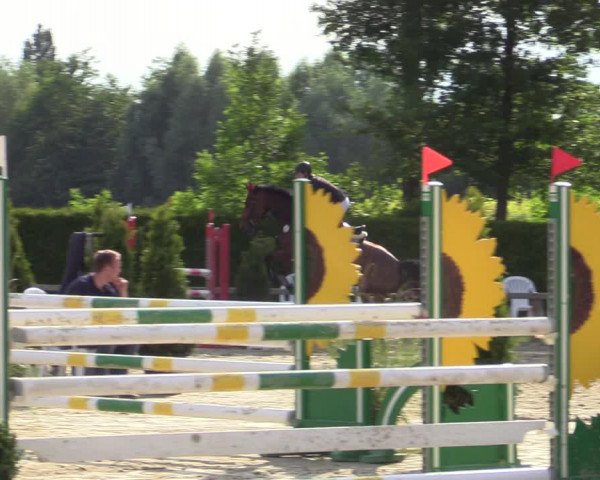 Reitturnier Münster-Handorf 2020