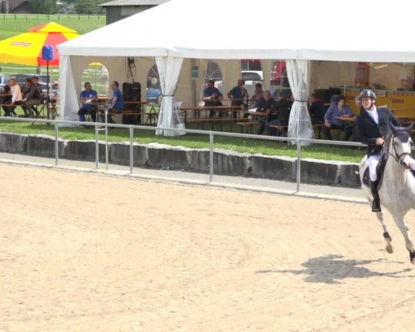 Reitturnier Galgenen 2020
