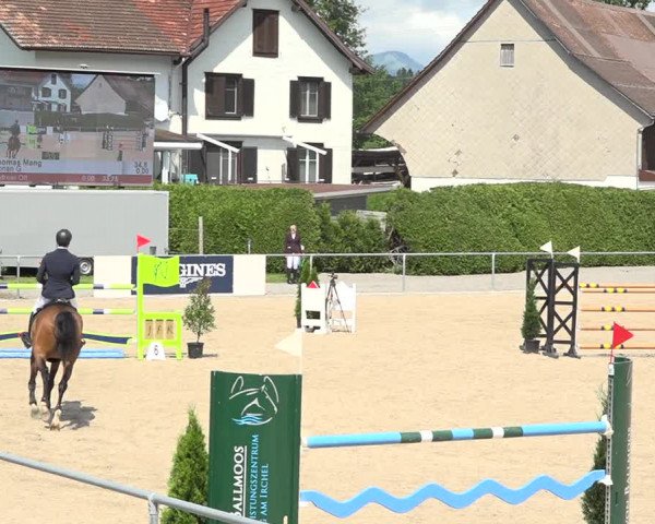 Reitturnier Galgenen 2020