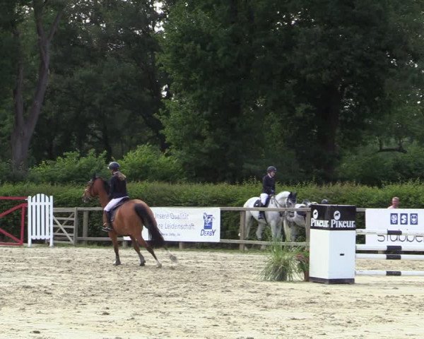 Reitturnier Münster-Handorf 2020