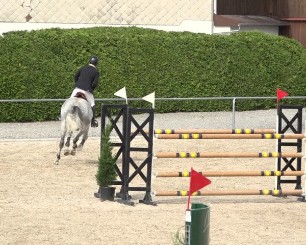 Reitturnier Galgenen 2020