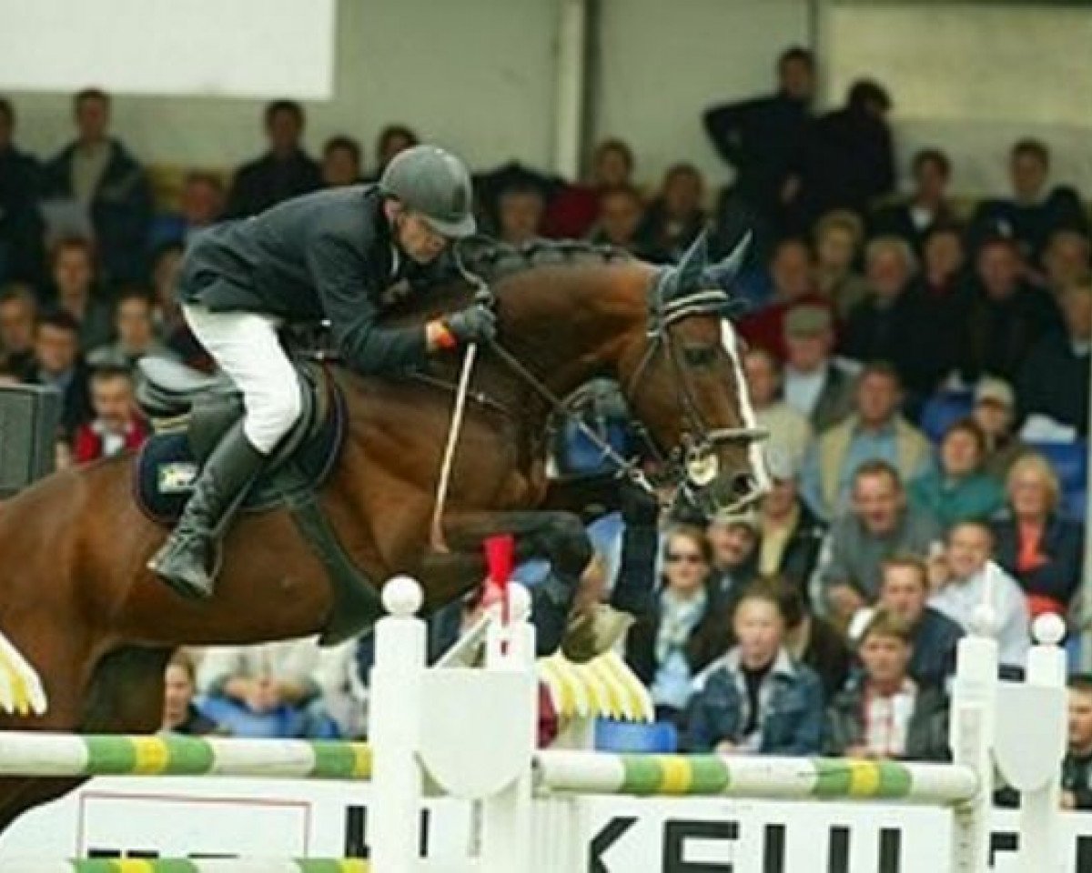 stallion Let's Go-V (KWPN (Royal Dutch Sporthorse), 1993, from Voltaire)