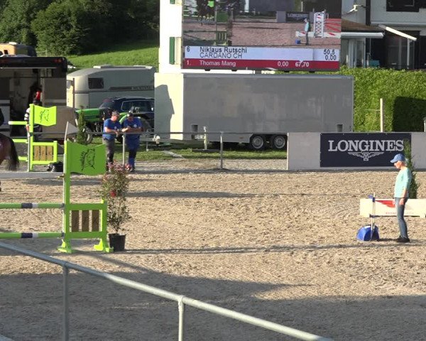 Reitturnier Galgenen 2020
