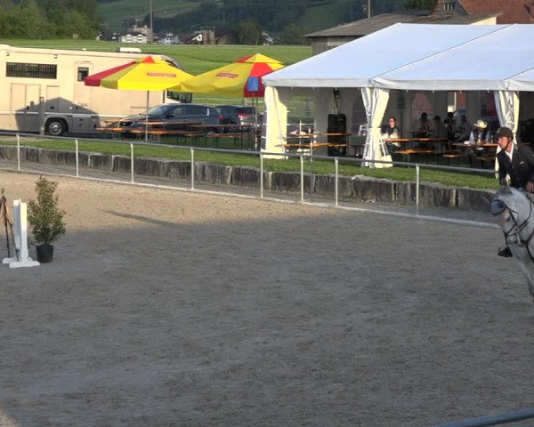 Reitturnier Galgenen 2020