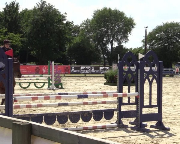 Reitturnier Münster-Handorf 2020