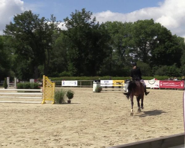 Reitturnier Münster-Handorf 2020