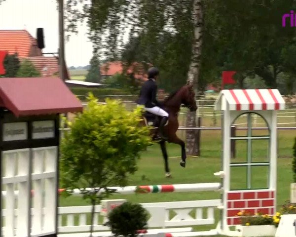 Reitturnier Hille 2020