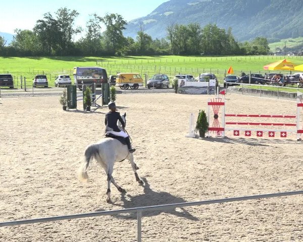 Reitturnier Galgenen 2020